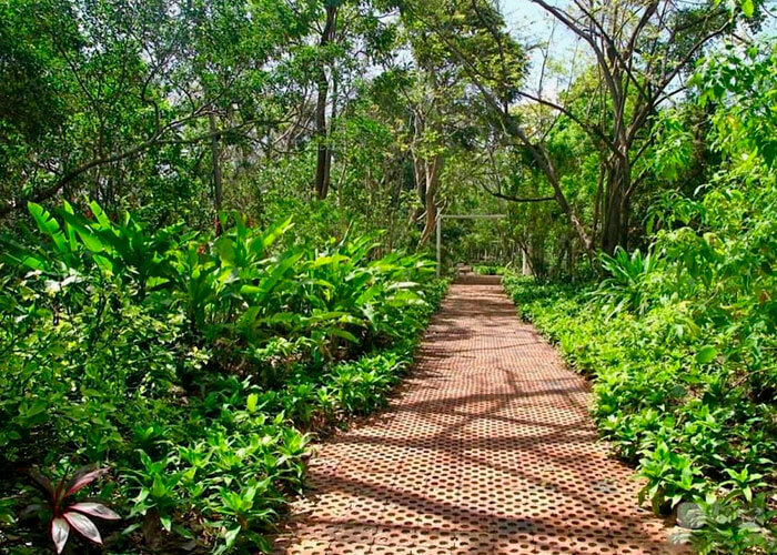 Jardín-Botánico-3