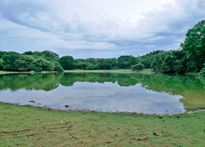 Laguna-Big-Pond-1